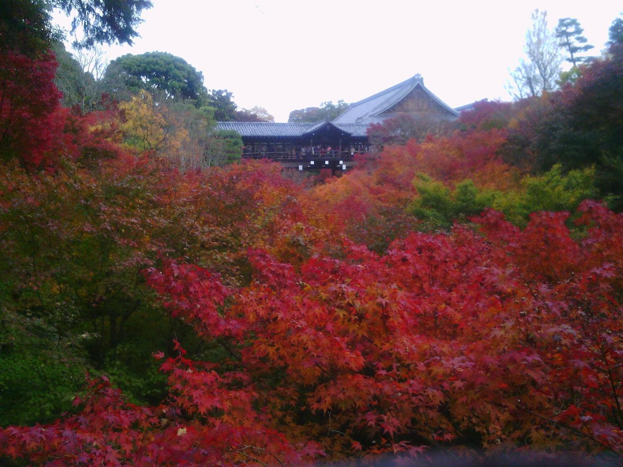 Kamuroan Kyoto Exterior photo