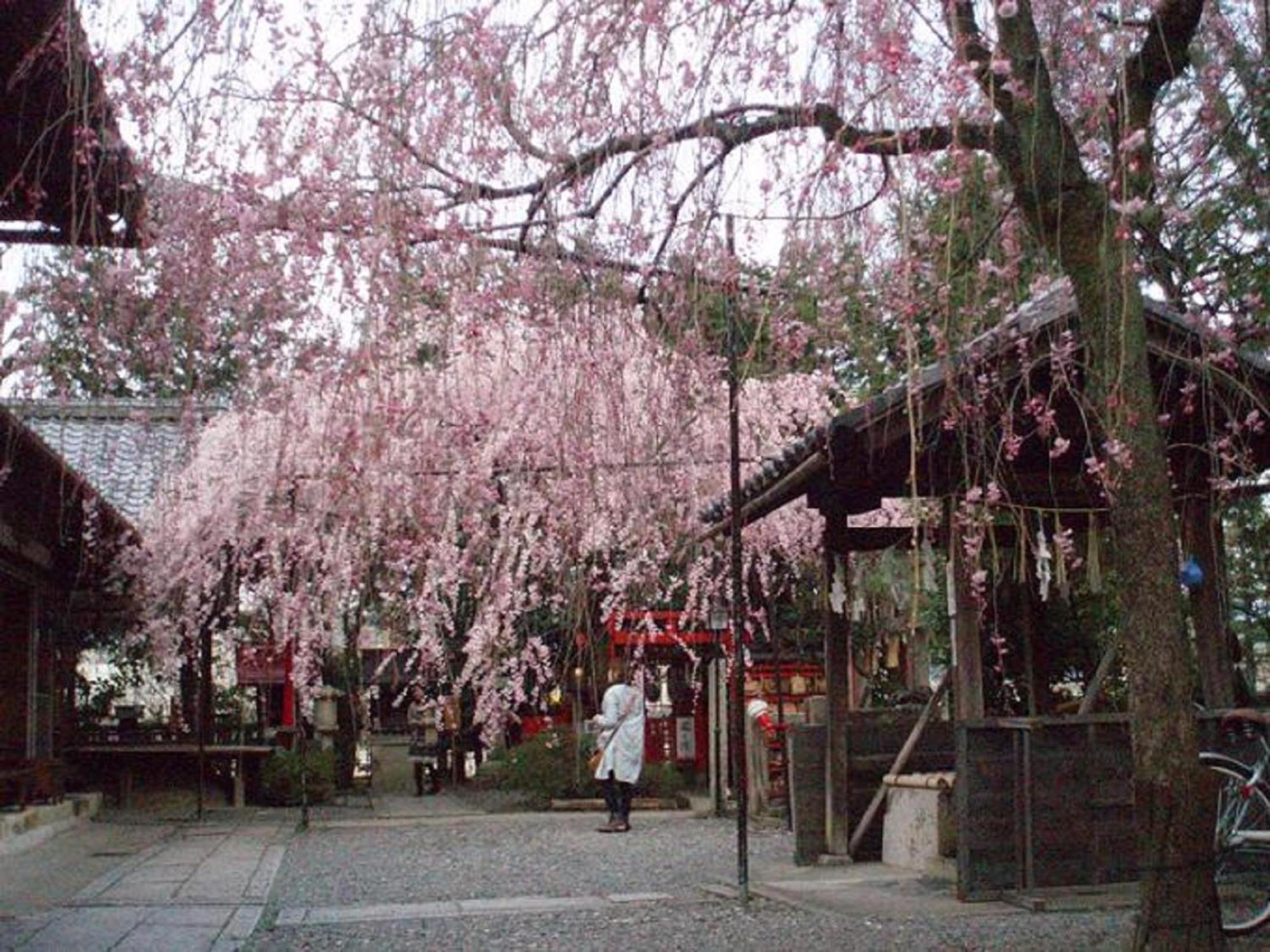 Kamuroan Kyoto Exterior photo